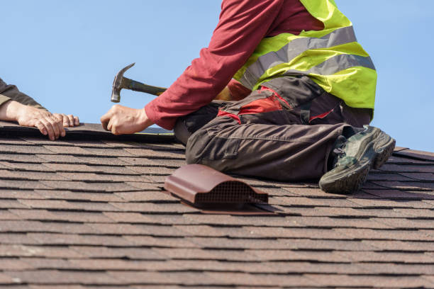 Best Local Roofing Companies  in Laupahoehoe, HI
