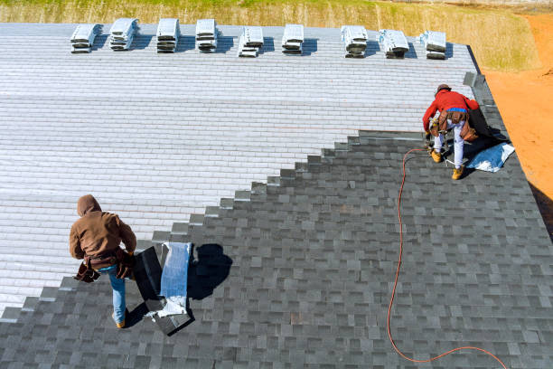 Best Residential Roofing Contractor  in Laupahoehoe, HI
