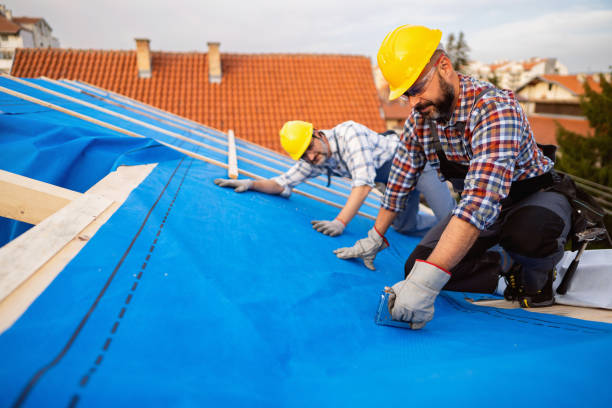 Best Roof Maintenance Services  in Laupahoehoe, HI