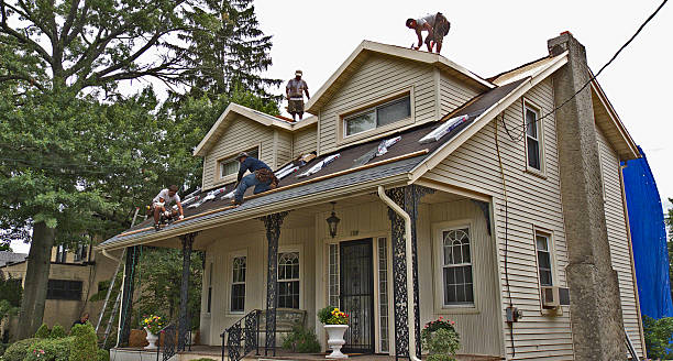 Best Metal Roofing Contractor  in Laupahoehoe, HI