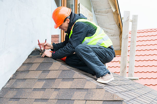 Best Commercial Roofing Services  in Laupahoehoe, HI